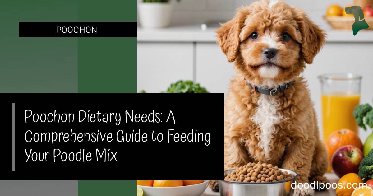 Poochon Dietary Needs: A Comprehensive Guide to Feeding Your Poodle Mix
