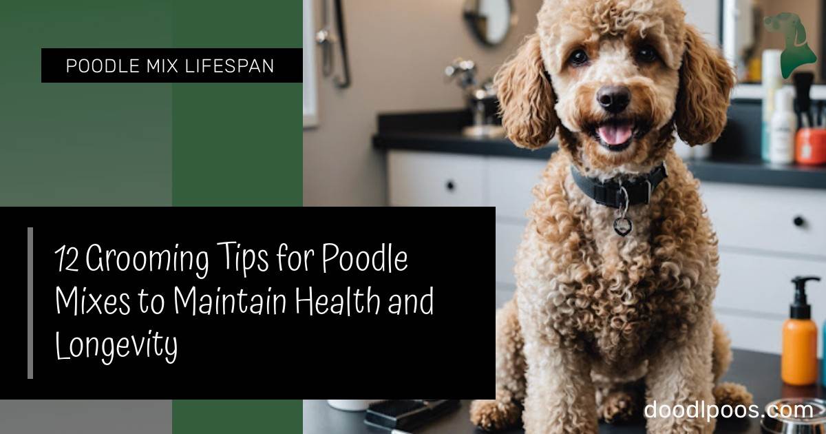 12 Grooming Tips for Poodle Mixes to Maintain Health and Longevity - Grooming Poodle Mix Puppy