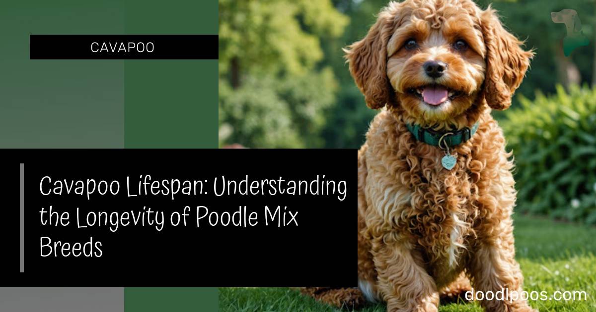 Cavapoo Lifespan: Understanding the Longevity of Poodle Mix Breeds