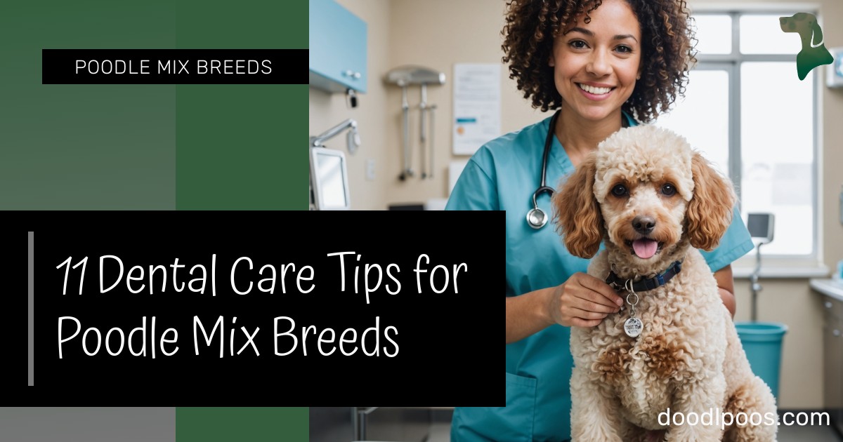 Snapshot of Poodle Mix Dental Nutrition And Care